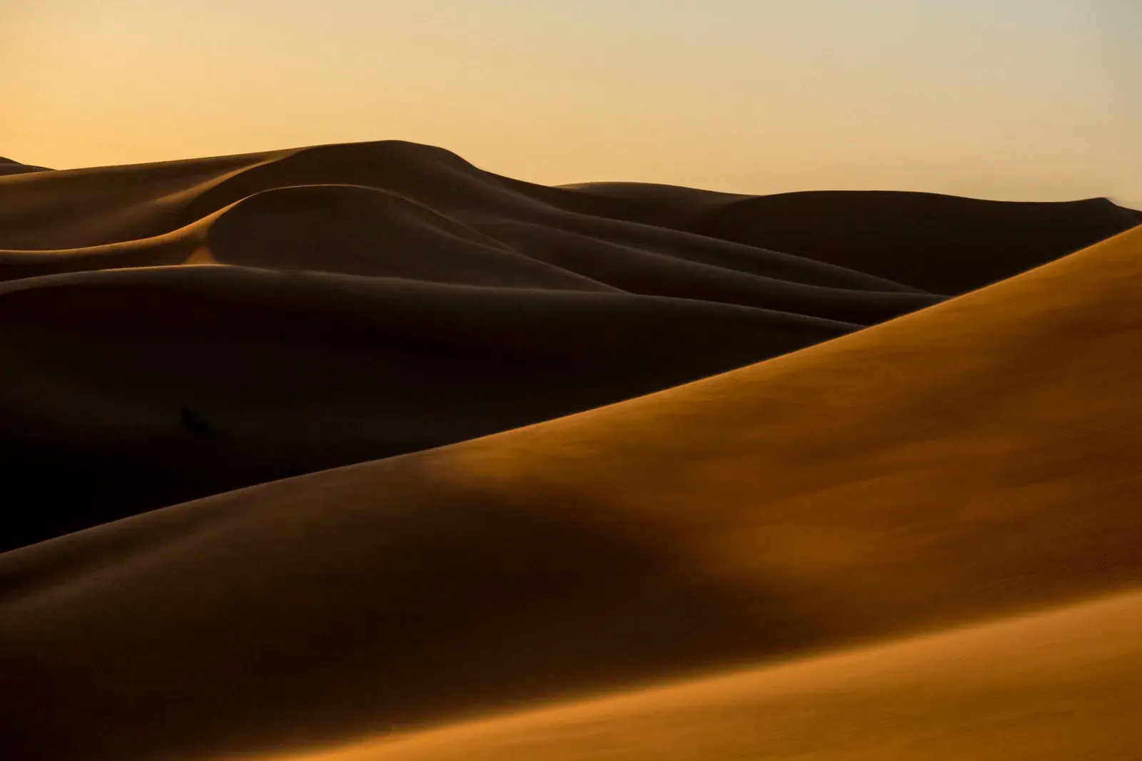 Dunas de arena dorada al atardecer en Marruecos — laderas hechas para el sandboard