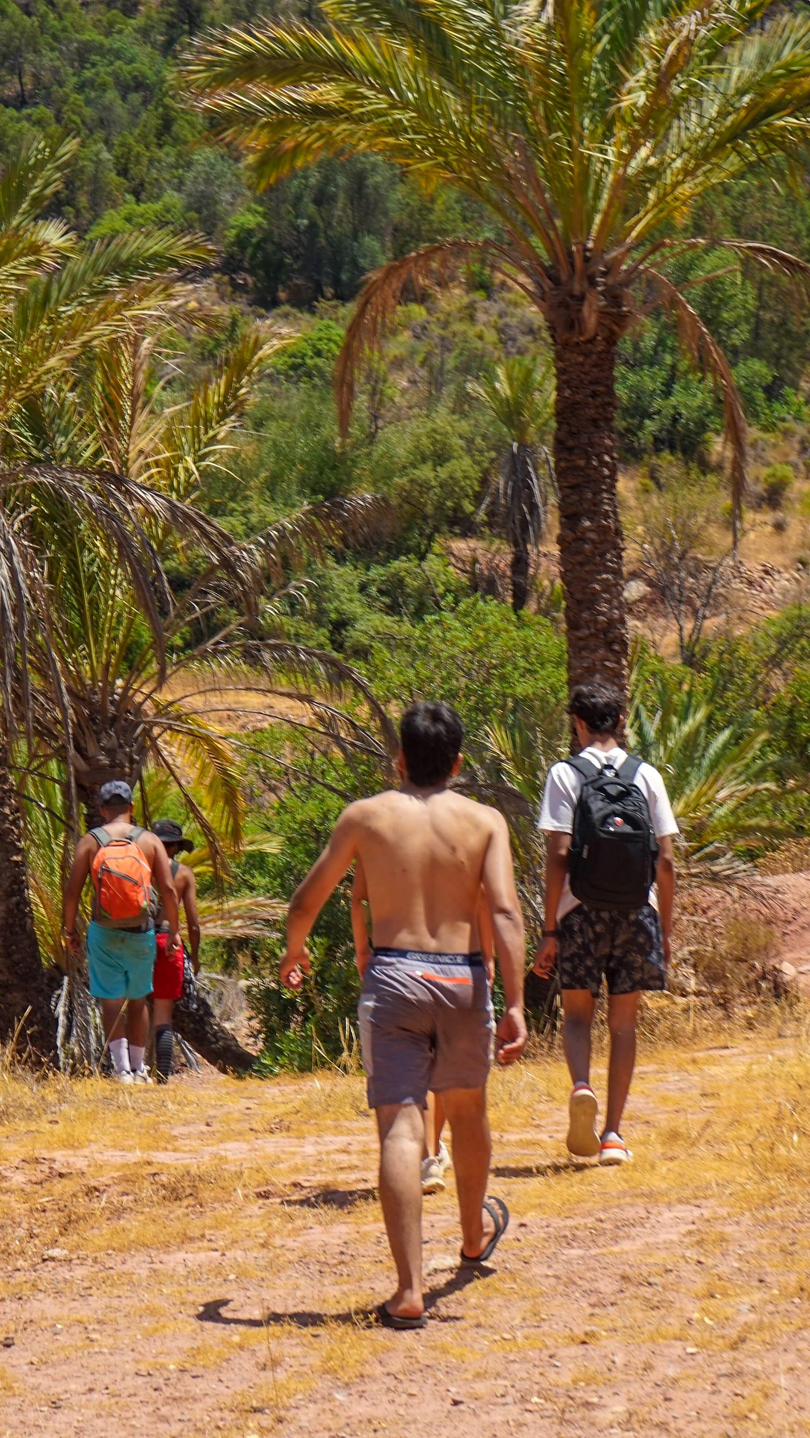 Trekking through the palm canyons