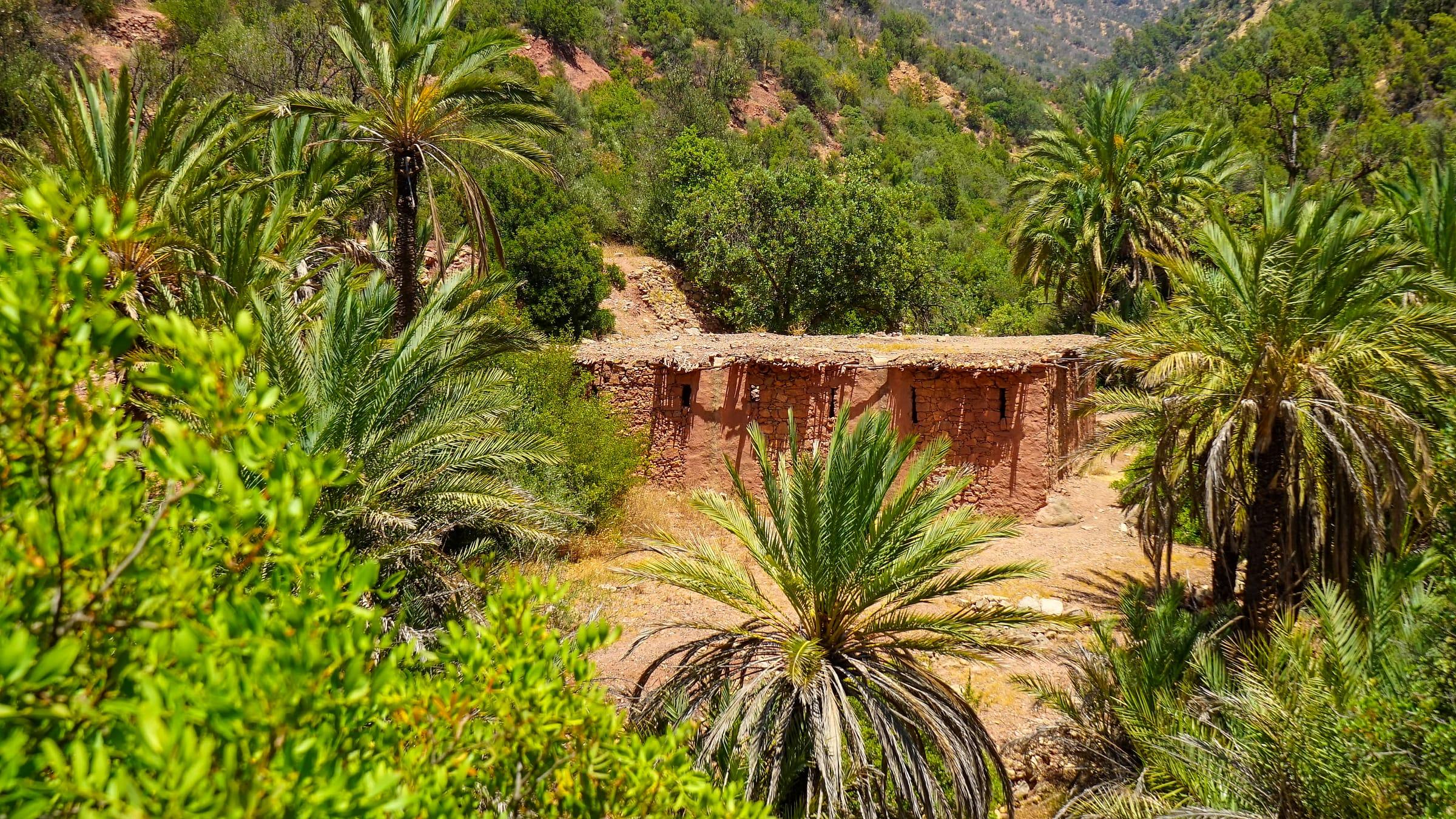 Wander Hidden Oases