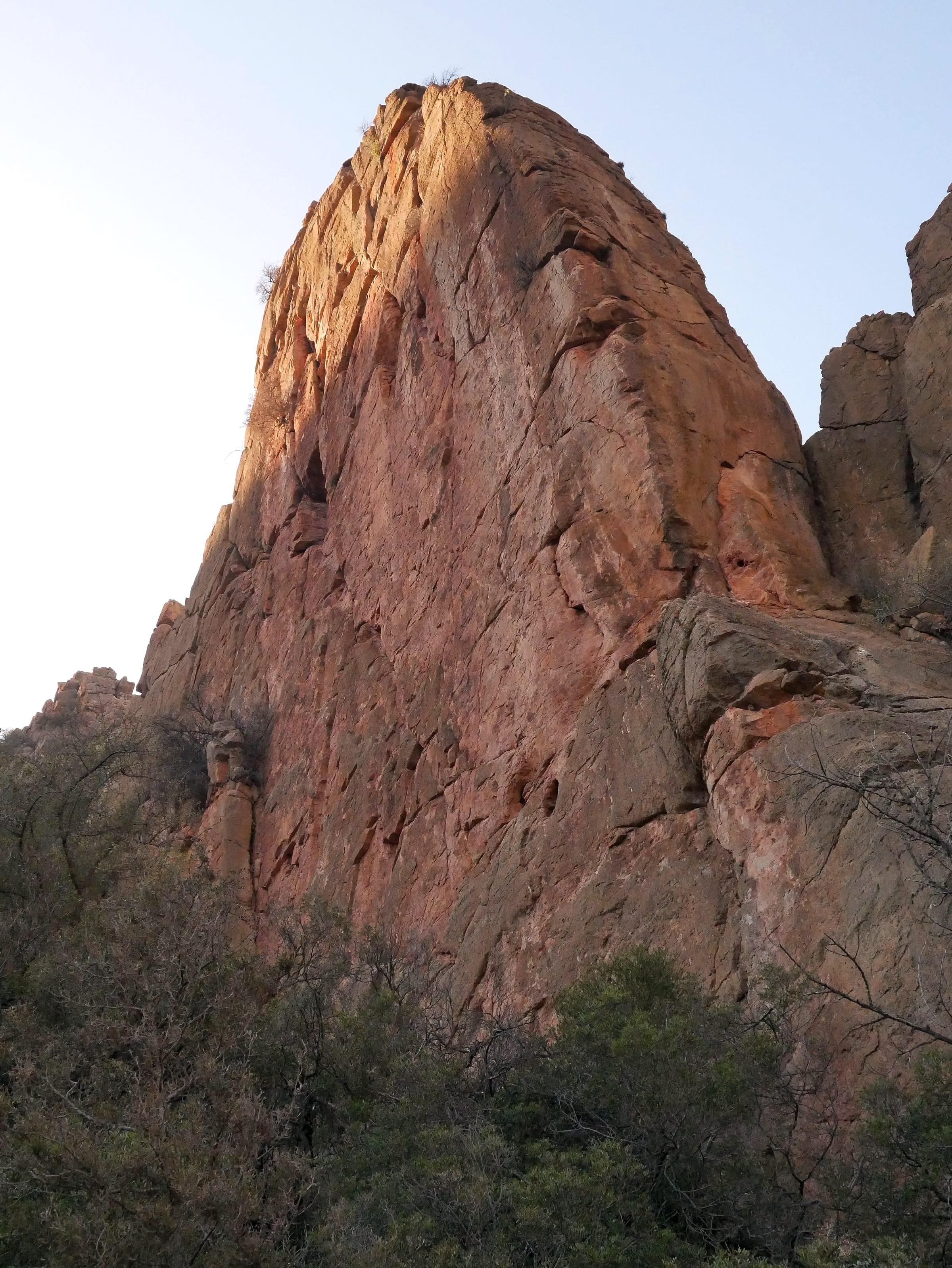 Reach New Heights